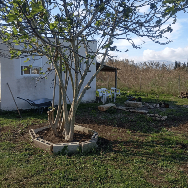 2 Casita ideal para huerto/fines de semana o casita de verano a 10 minutos de playas de Muro y a 15 minutos de Can Picafort.