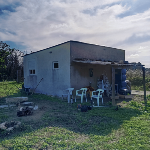 5 Casita ideal para huerto/fines de semana o casita de verano a 10 minutos de playas de Muro y a 15 minutos de Can Picafort.